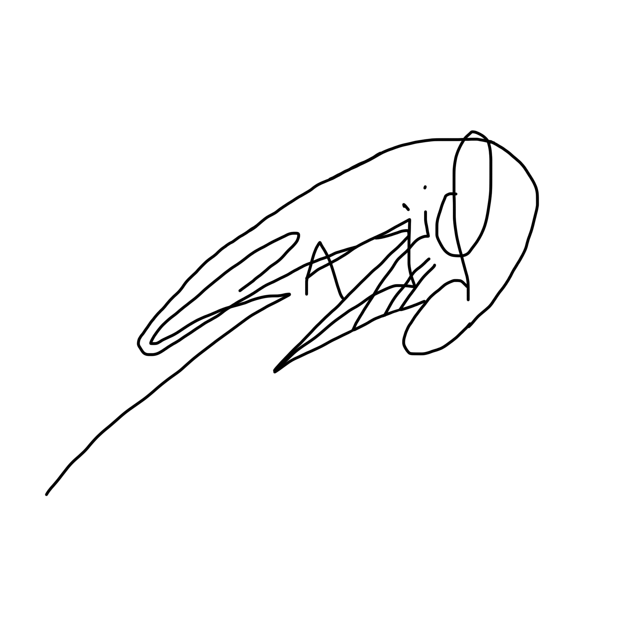 Sajid Signature